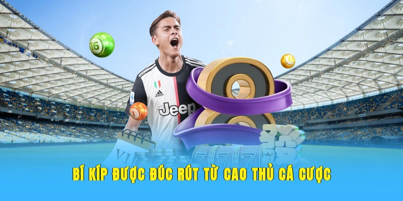 Bí kíp được đúc rút từ cao thủ cá cược