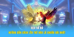cựa gà đá