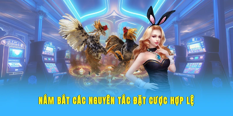 Nắm bắt các nguyên tắc đặt cược hợp lệ