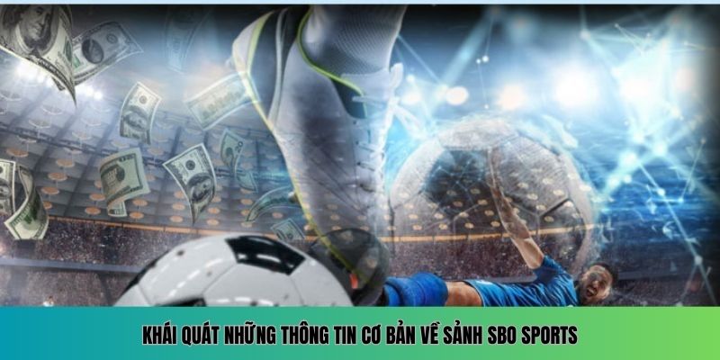 Khái quát những thông tin cơ bản về sảnh SBO Sports