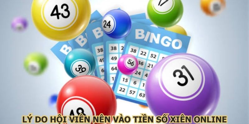 Lý do hội viên nên vào tiền số xiên online