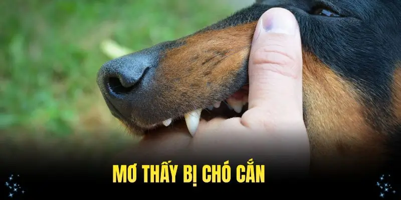 Nằm mơ thấy bị chó cắn
